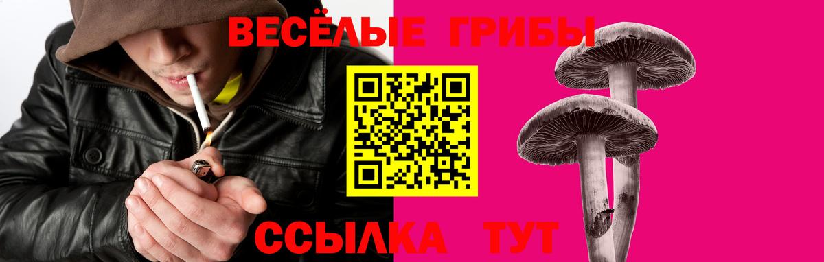Галлюциногенные грибы мицелий Алексеевка